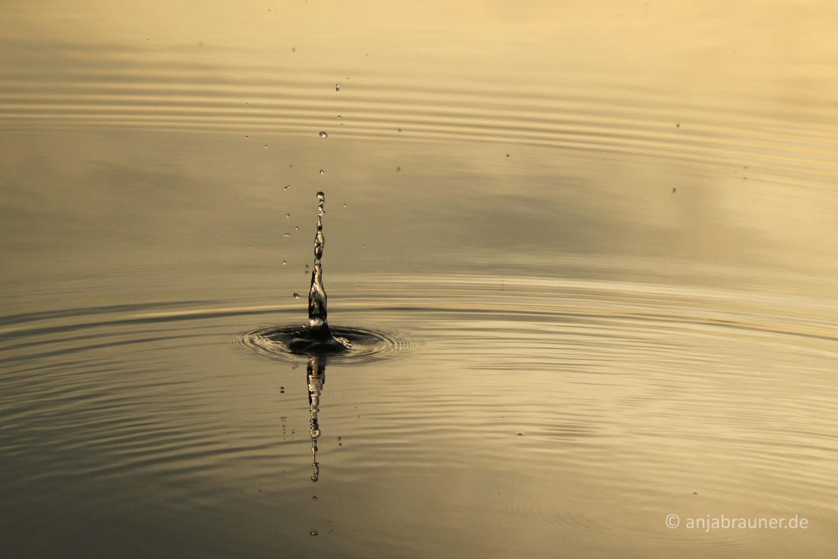 Stein im Wasser