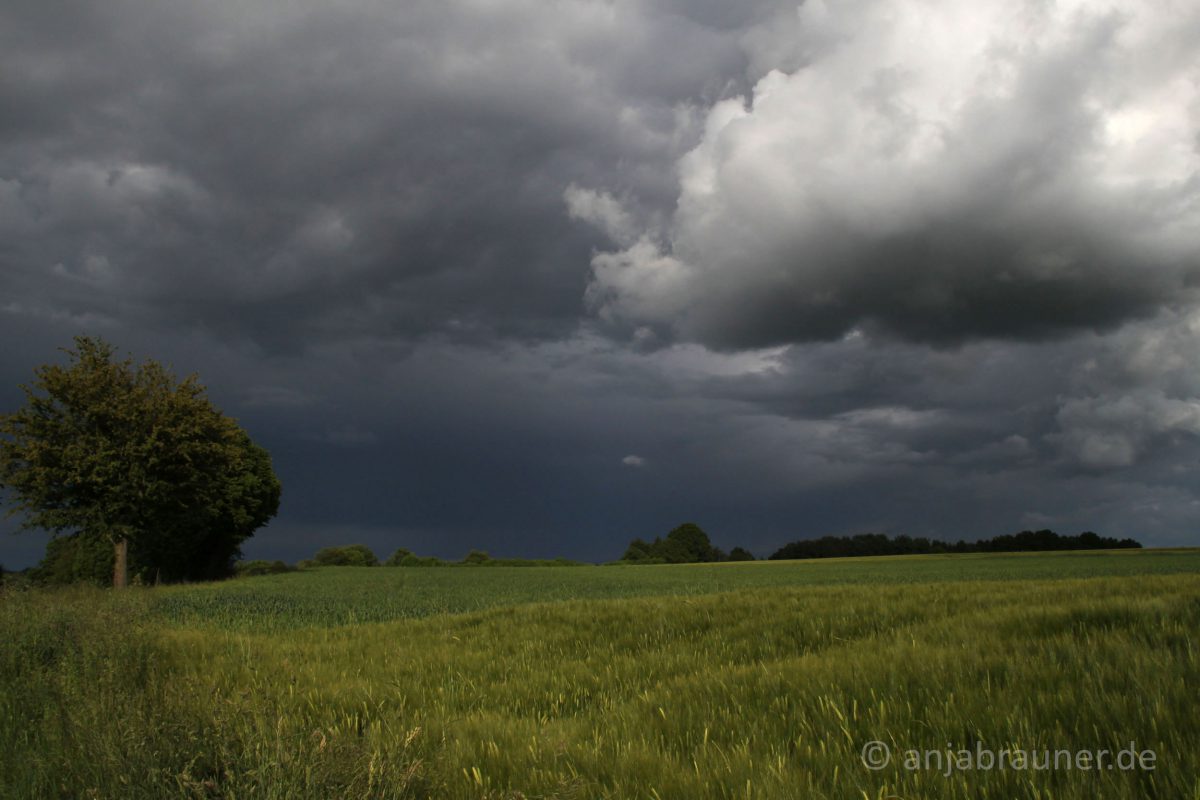 Wolken