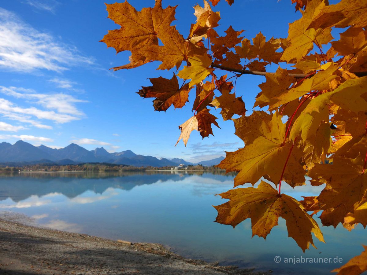 Bunter Herbst