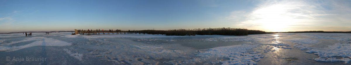 Was für ein Erlebnis… Mitten auf dem Federsee!