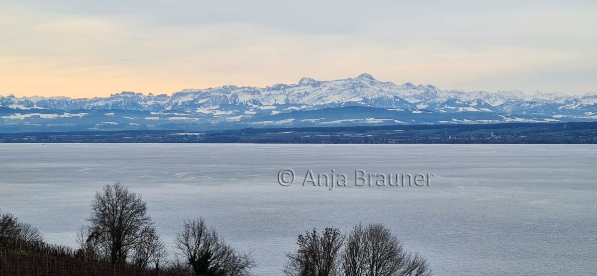 Alpenpanorama am Bodensee