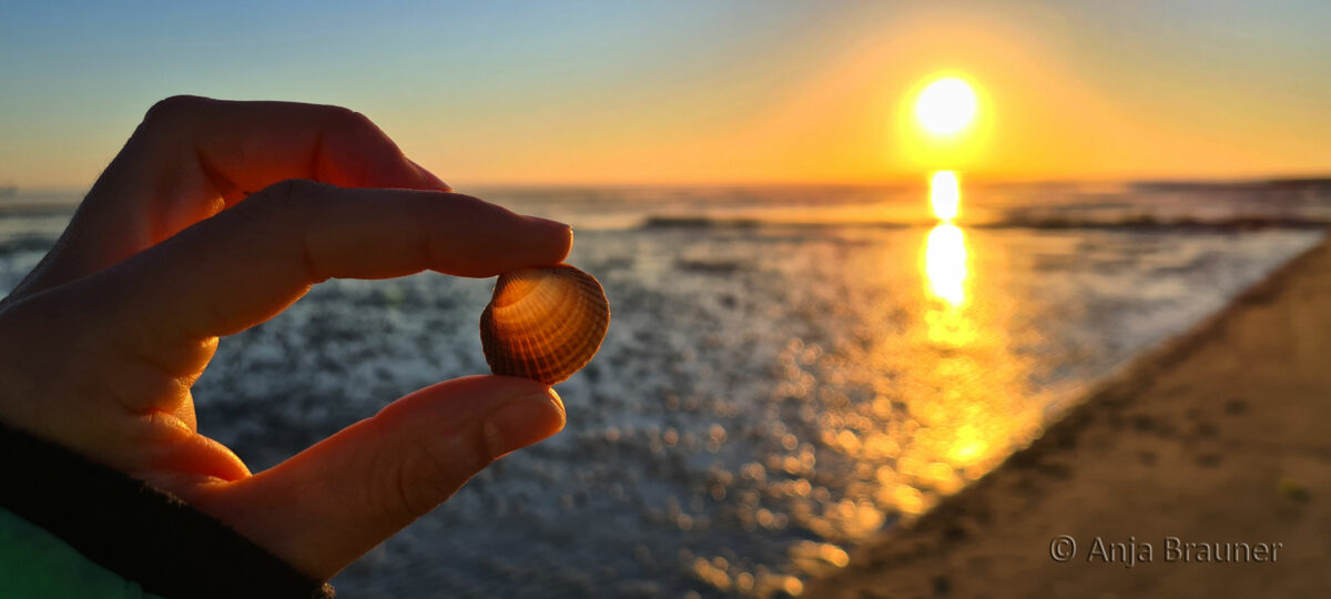 Früh aufgestanden… Sonnenaufgang in Cuxhaven