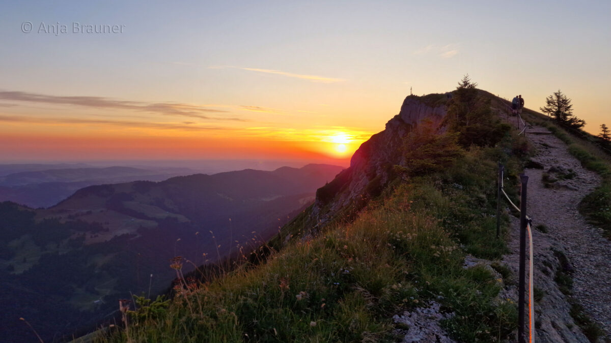 Sonnenaufgang auf dem Hochgrat