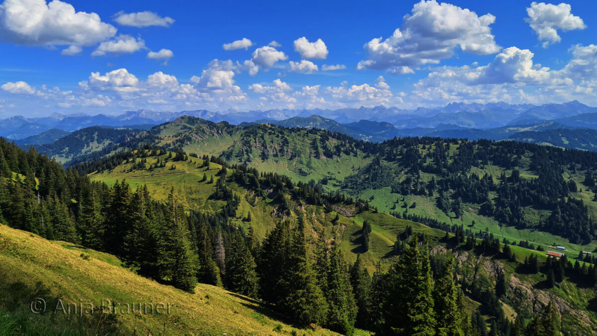 Bergpanorama vom Hochgrat